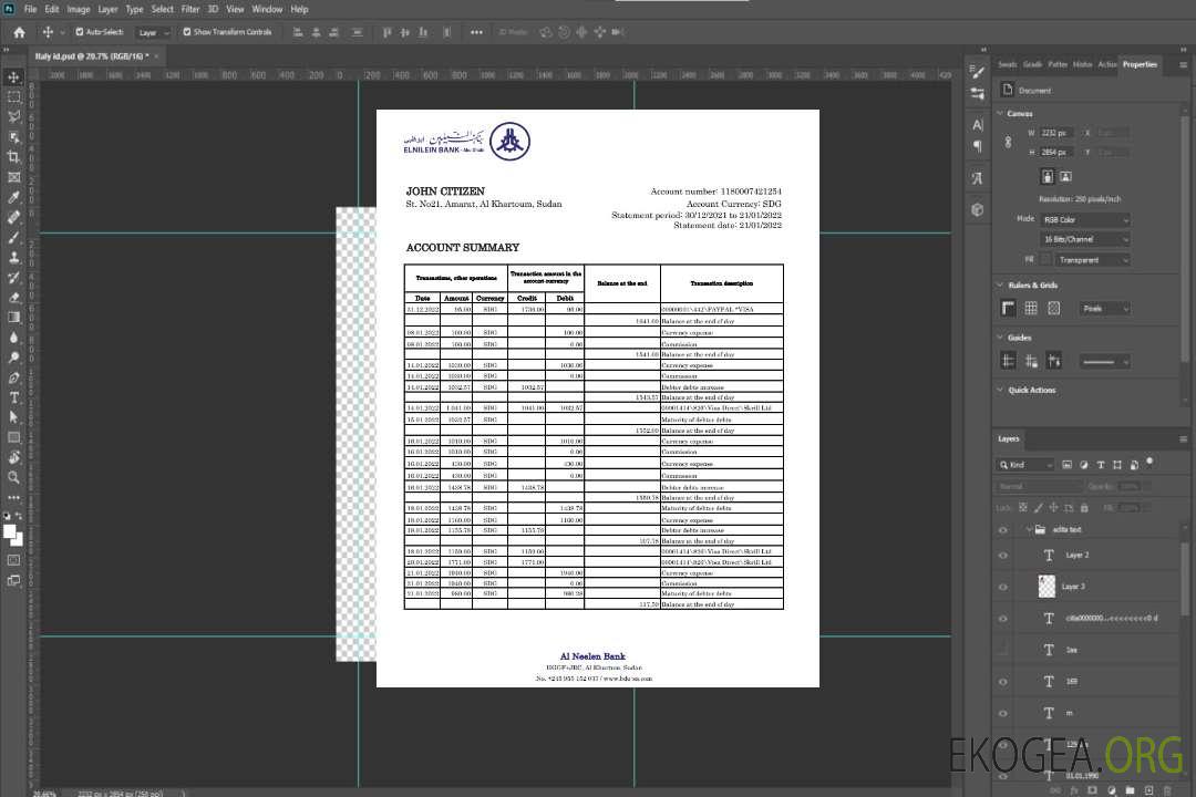 Soudan Al Neelen Bank relevé xls template